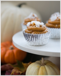 Blog Paleo Pumpkin Muffin Cupcakes with Paleo Pumpkin Frosting-1
